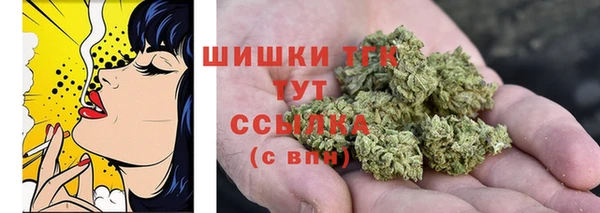 дурь Богородицк