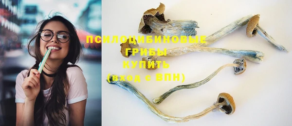 дурь Богородицк