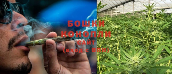 дмт Белокуриха