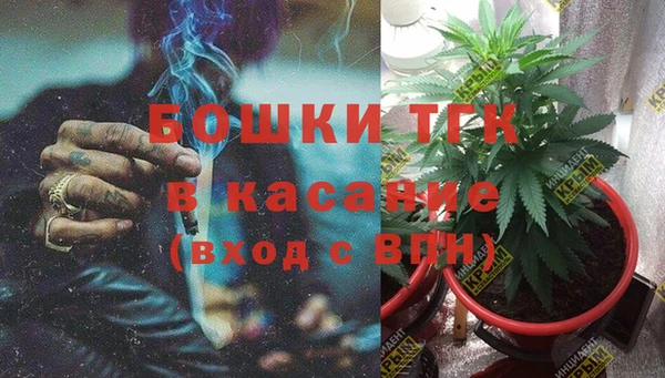 экстази Богданович