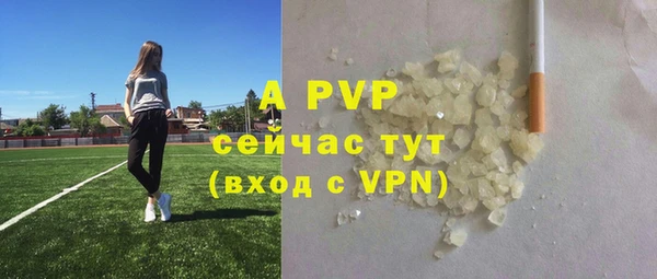 экстази Богданович